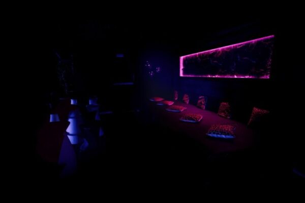 Club Sauvage Barcelona